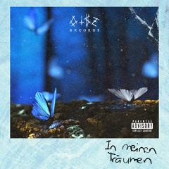 In meinen Träumen (prod. OT$Z YUNGVITE)
