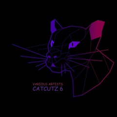 Various Artists - Catcutz 6 [MIAWVA009]