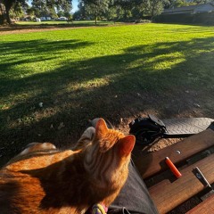 ROUGH ROPES P.OKAYKODA