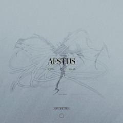 AESTUS [ft. LOCALIZE]