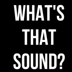 DJ Hamo - Whats That Sound (FREE DOWNLOAD)