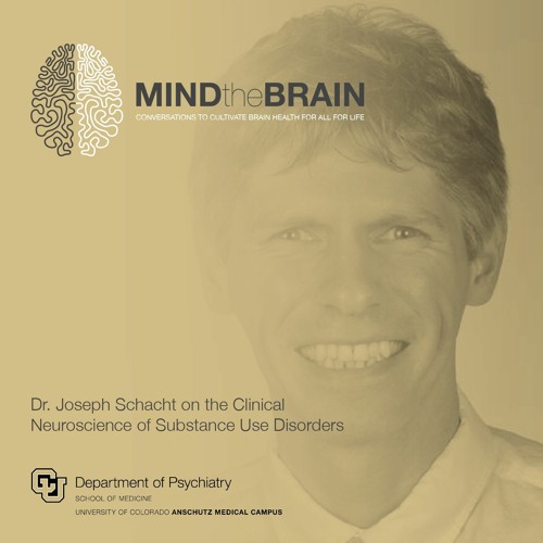 Dr. Joseph Schacht on the Clinical Neuroscience of Substance Use Disorders