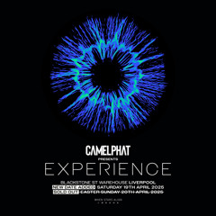 Camelphat - Spektrum - (2025 VIP Mix)