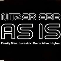 Come Alive - Nitzerebb [Veridical Ambient Mix]