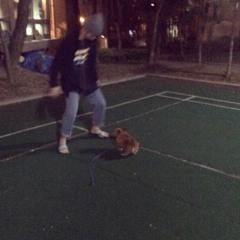 잔나비-늙은 개 Cover