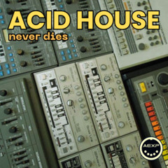 ACID HOUSE  NEVER DIES 2024 - Roland TB-303