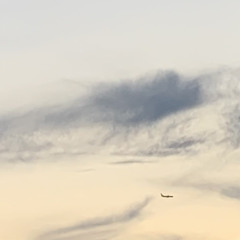 قذىً بعينك  ‏