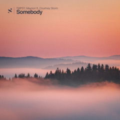 Somebody (feat. Courtney Storm)