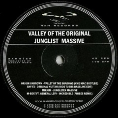 Valley Of The Original Junglist Massive [4x4 Jungle]