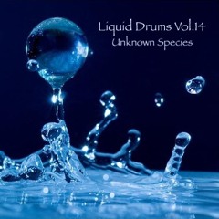 Liquid Drums Vol. 14