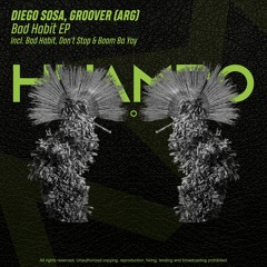 Groover (ARG), Diego Sosa - Bad Habit (Original Mix)