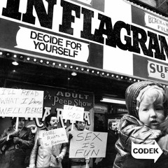 PREMIERE > In Flagranti - Equal Rights In The Bedroom [CODEK]