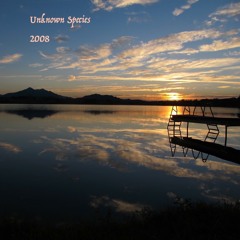 2008