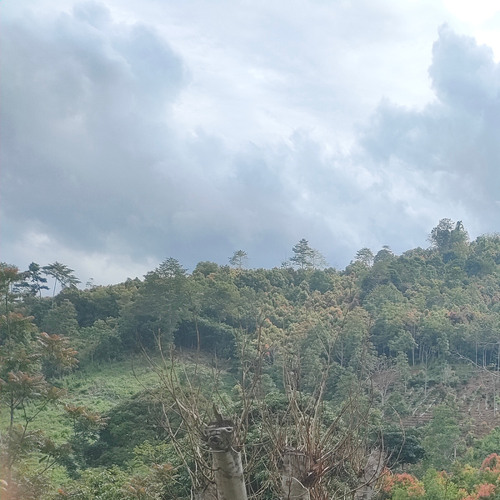 Tetangga sirik