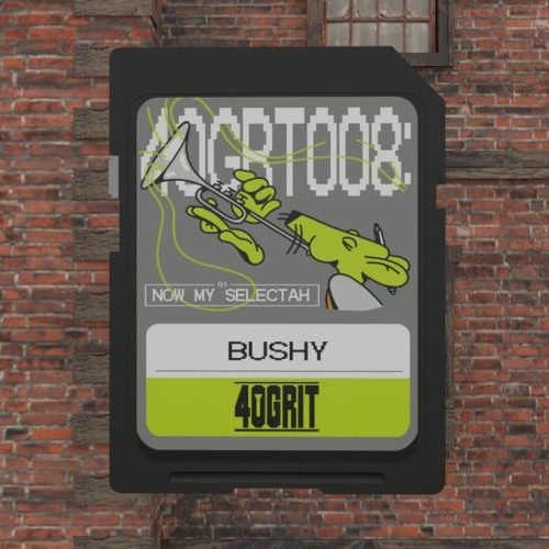 Bushy - Now My Selectah [FREE DL]