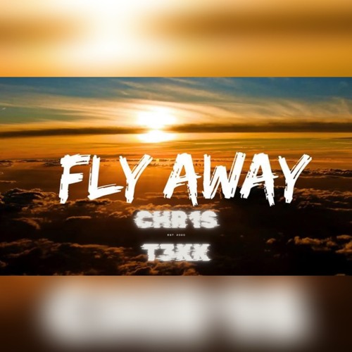 FLY AWAY - CHR1ST3KK RMX [HARDTEKK]