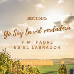 Eres La Vid Verdadera-Himno 262 🌱 Thou Hast Said Thou Art The Vine, Lord-Hymn 561 🌹