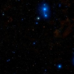 Misspic - Gamma Orionis