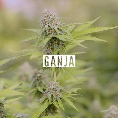 Ganja