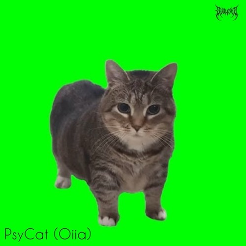 PSYCAT (Oiia) - SVGMANE PSYTRANCE REMIX