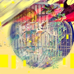 Fly with the Cage
