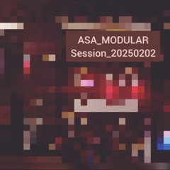 ASA_MODULAR_Session_20250202.mp3