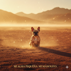 🎵-mi-alma-pequeña.-mi-manolito..mp3