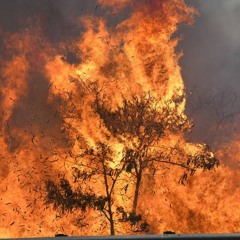 Hawai Maui  On Fire ! Why ?