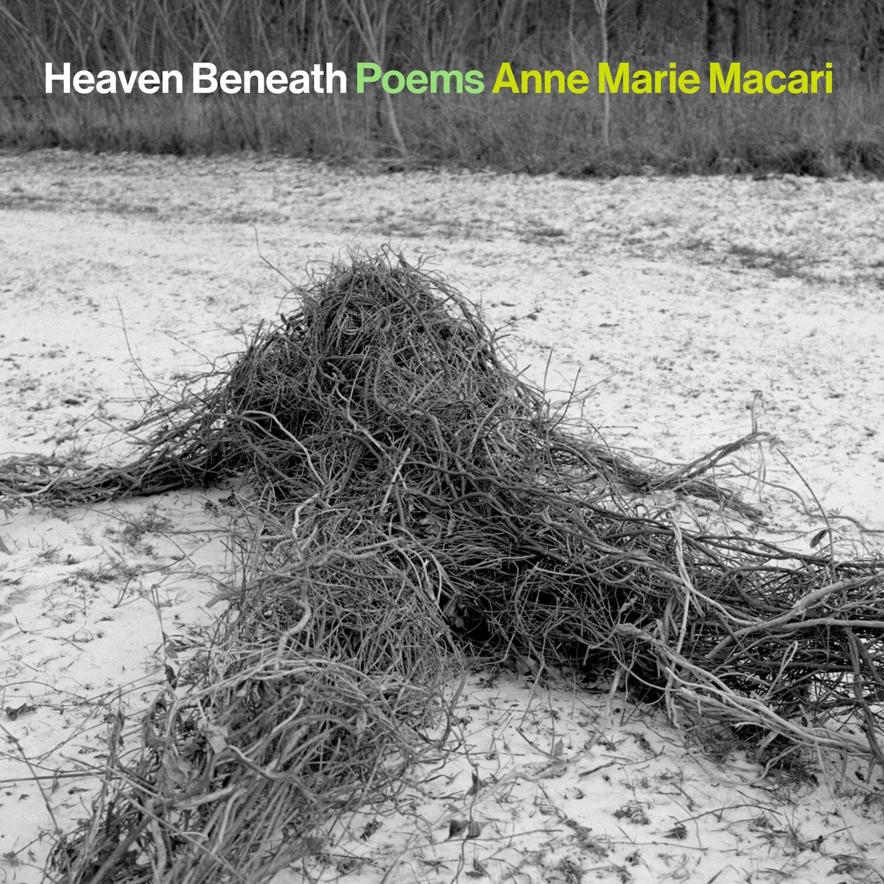 Heaven Beneath by Anne Marie Macari episode artwork