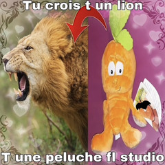 tu crois t un lion... xd