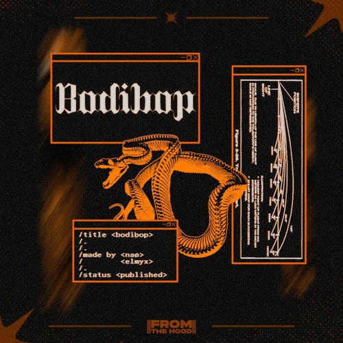 NAØ & Elmyx - Bodibop