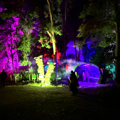 Chantree @ DeepForest25--Exoplanet / TechnoTipi