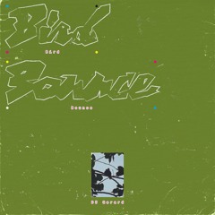 Bird Bounce