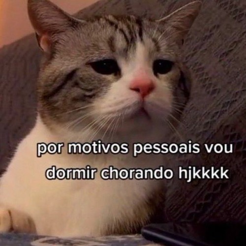 o problema não é você