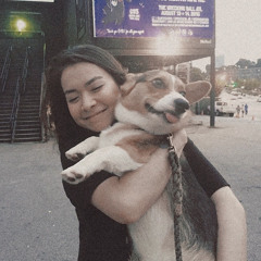 humpty - mitski (slowed & reverb)