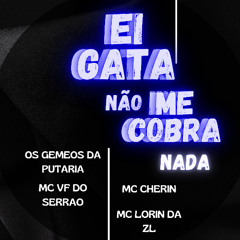 Ei Gata Nao Me Cobra Nada - Os Gemeos da Putaria Mc Cherin Mc lorin da zl Mc vf do serrao