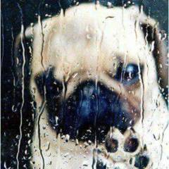 winterfall (broketeen)