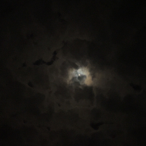 starly (Slowed)(best version)