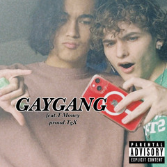 GAYGANG(feat. T Money)(proud.TgX)