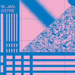 Skatebård at Østre, Bergen, January 2026