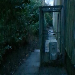 run away