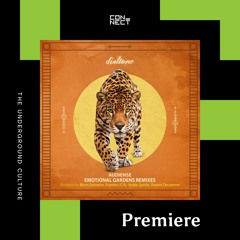 PREMIERE: Audiense - The Birth of a Miracle (Bjorn Salvador Remix) [Dialtone Records]