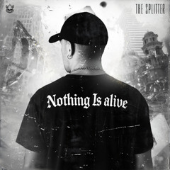 The Splitter-Nothing (Radio Edit) | BNR 044 Break Neck Records