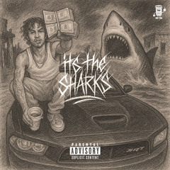 Its the Sharks