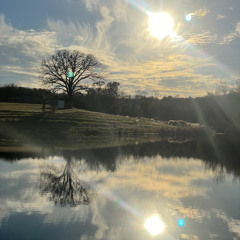 Another Beautiful Day