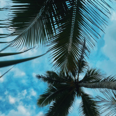 02 Maan Jabwòd - AWA ZERO KK2