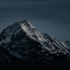Into The Night