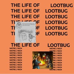 The Life Of Loot Bug