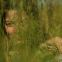 POLYXENE (11.12.2025)