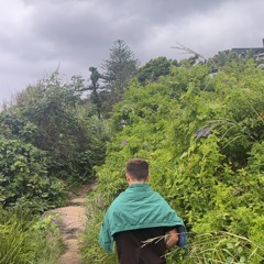 Jungle is Massive